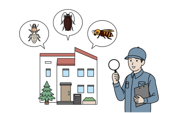 Bug Expert