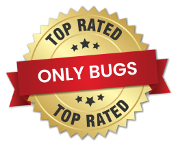 top-rated-onlybugs Top Rated
